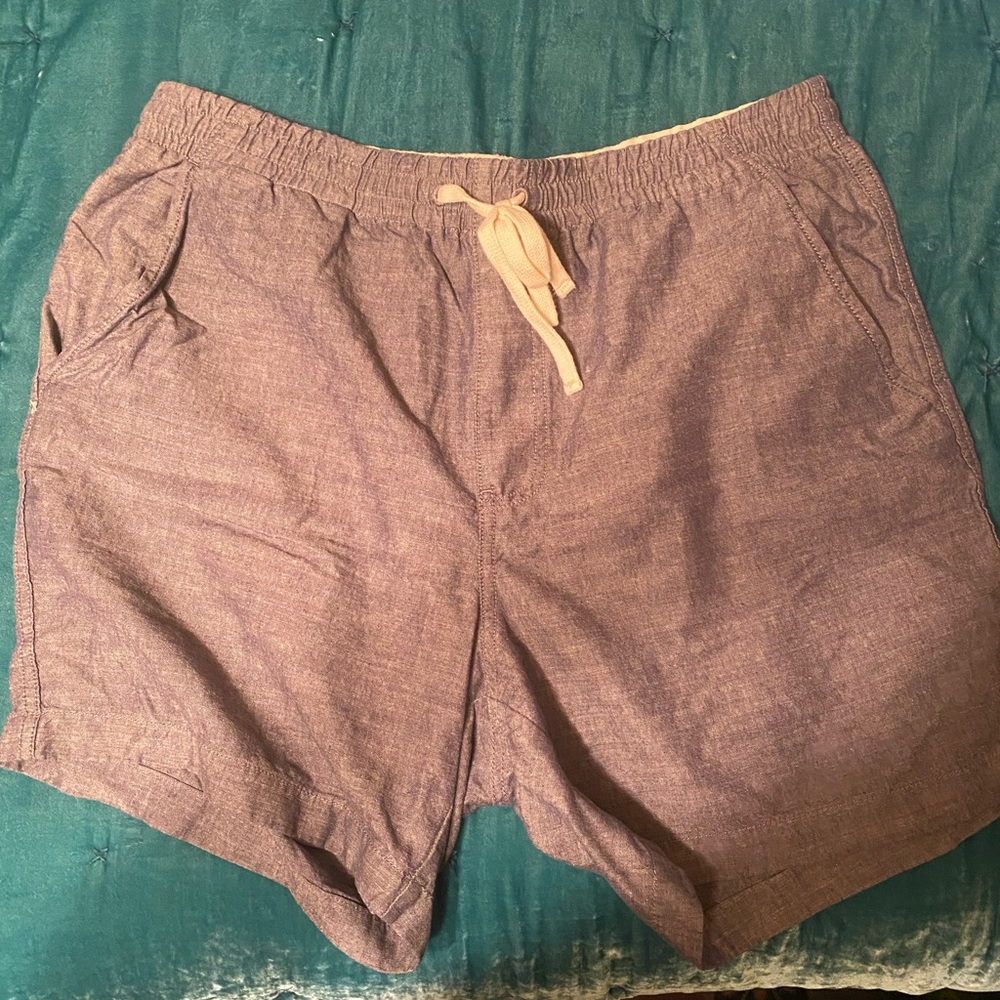 JCREW SHORTS - FROM A DOG FRIENDLY HOME